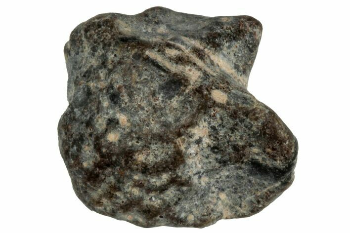 Lunar Meteorite ( g) - NWA #304876